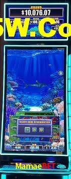 Experiência VIP Mamaebet